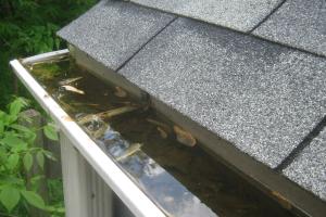 A gutter blocked by leaves and close to overflowing.