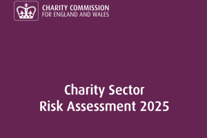 The cover of the Risk Assessment report