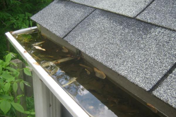 A gutter blocked by leaves and close to overflowing.